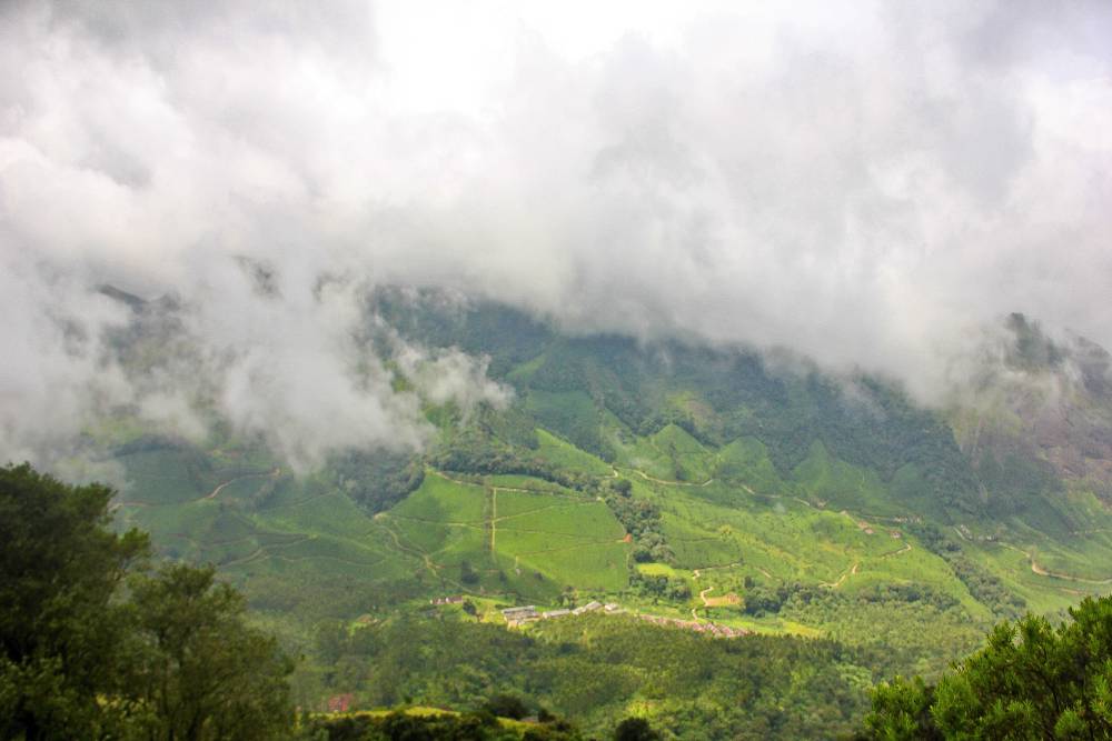 Eravikulam National Park (6).jpg